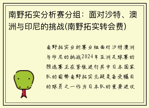 南野拓实分析赛分组：面对沙特、澳洲与印尼的挑战(南野拓实转会费)