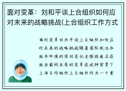 面对变革：刘和平谈上合组织如何应对未来的战略挑战(上合组织工作方式)