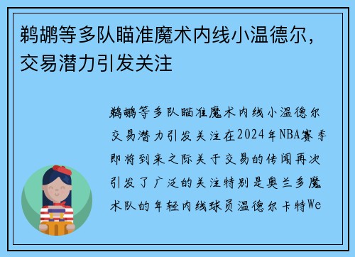 鹈鹕等多队瞄准魔术内线小温德尔，交易潜力引发关注